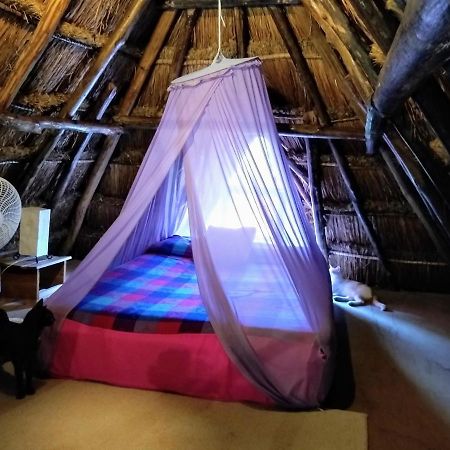 Casitas Kinsol Otel Puerto Morelos Dış mekan fotoğraf