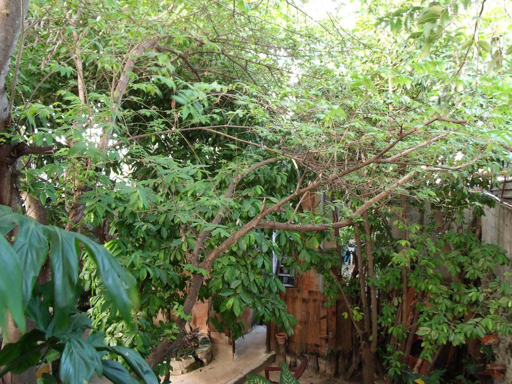 Casitas Kinsol Otel Puerto Morelos Dış mekan fotoğraf