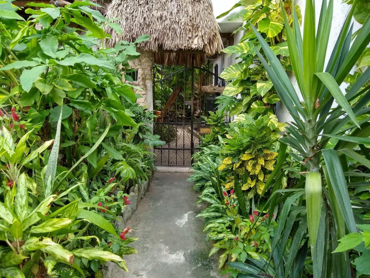 Casitas Kinsol Otel Puerto Morelos Dış mekan fotoğraf