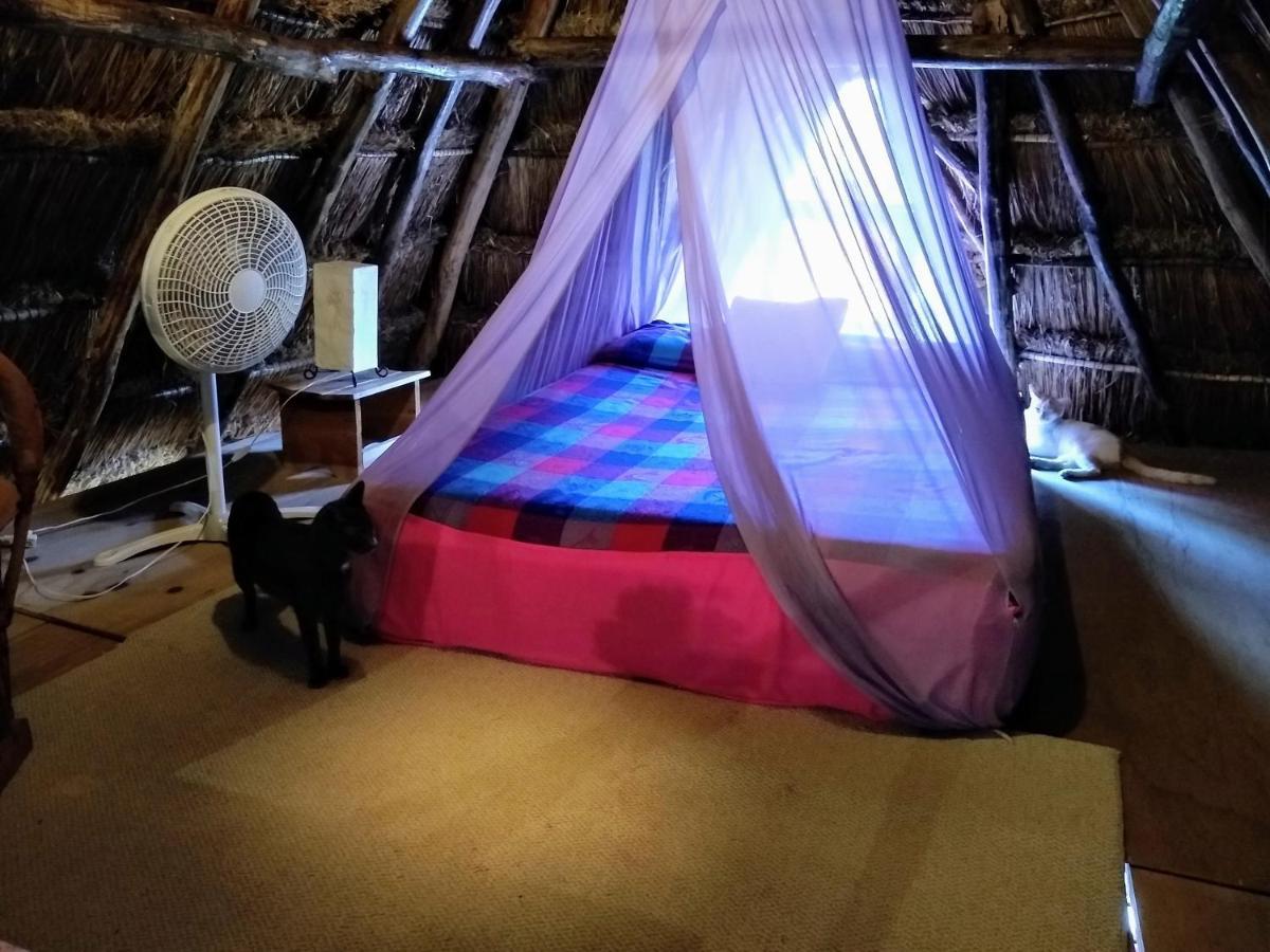 Casitas Kinsol Otel Puerto Morelos Dış mekan fotoğraf