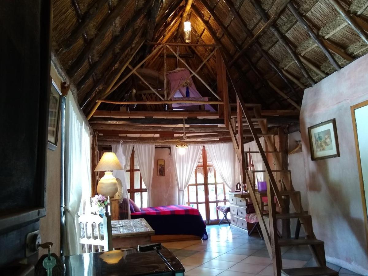 Casitas Kinsol Otel Puerto Morelos Dış mekan fotoğraf